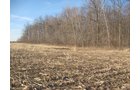 Property photo 18 - 44 Acres Offered in 3 Tracts